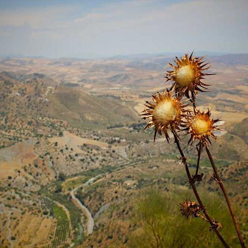 Menemukan Ketenangan Jiwa di Puncak Bukit Meditasi